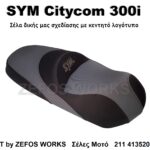 sym citycom 300
