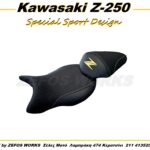 kawasaki Z 250